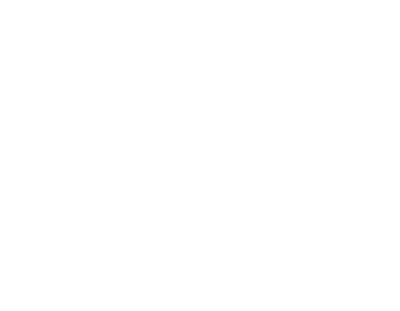 Dumbdry logo