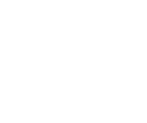 PVNK STAR logo